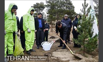 آغاز عملیات اجرایی نهضت درختکاری پردیس گردشگری 10
