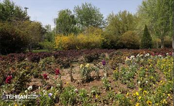 بوستان بانوان نرگس 42
