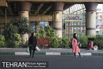 میدان شقایق‎ 18