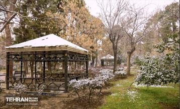 بارش برف زمستانی در منطقه 14