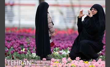 جشنواره لاله‌ها در بوستان زندگی محله هرندی 15