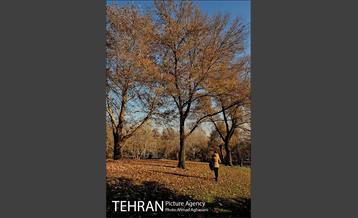 پاییز برفی پارک ملت 24