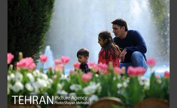 رویش گل های لاله در پارک شهر 22