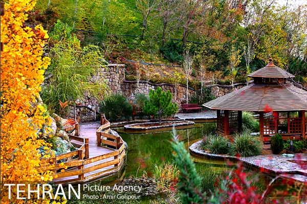 پاییز رنگ به رنگ در بوستان کوهستانی آبشار تهران‎ 5