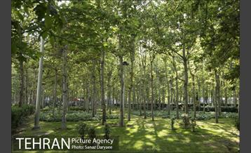 بوستان فدک‎ 22