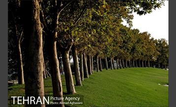 میدان و برج آزادی تهران 12