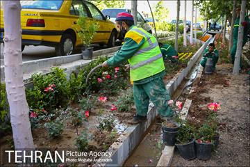 گلکاری در خیابان ولیعصر 8