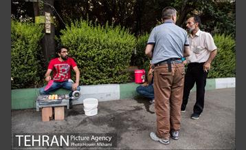 شیر بلال تابستان 20