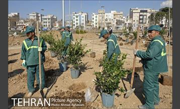 روز درختکاری در بوستان تبسم 1