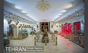 موزه طبیعت و حیات وحش دارآباد تهران 8