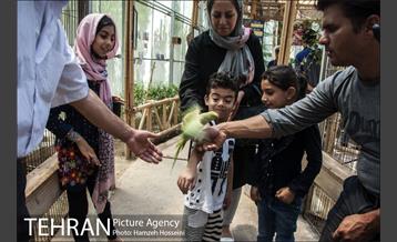 باغ پرندگان تهران 28