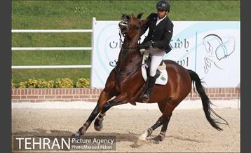 رقابت های بین المللی پرش با اسب بزرگسالان 22