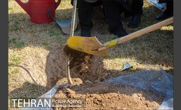 ۱۰۰ نهال به نام ۱۰۰ زن نامدار قرن 16