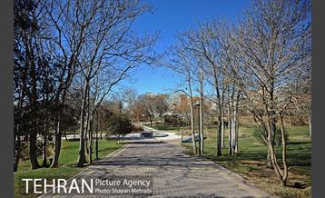 بوستان پلیس 25