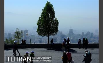 اولین دوره پیاده روی خانوادگی ایثارگران شهرداری تهران 34