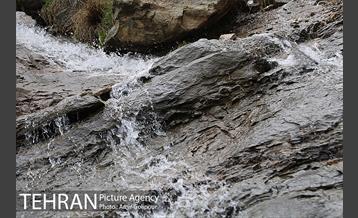 وردیج ، دنیایی از زیبایی 13