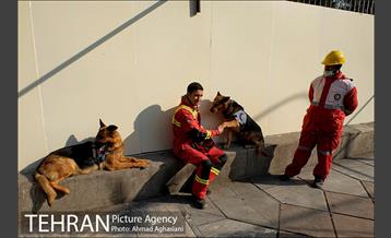 دومین روز نبرد با آوار پلاسکو -2 41