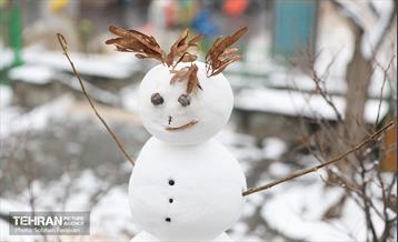 روز برفی تهران - 1 10