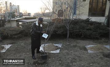 مراسم سومین آیین کاشت نهال صلح و دوستی  30