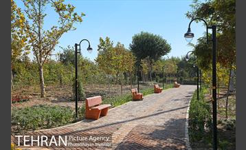 بوستان زندگی 29