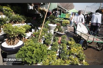 بازار گل شهید محلاتی در آخرین روزهاى سال 16