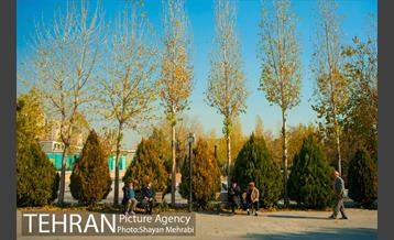 پاییز باغ موزه قصر 21