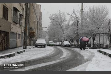 روز برفی در منطقه 8