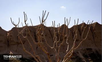 قلعه گبری 41