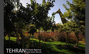 بوستان جوانمردان 19