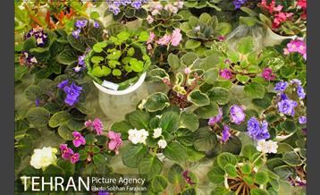 چهل و چهارمین بازارچه خیریه آسایشگاه کهریزک 24