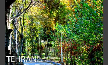 شهرک صدرا 30