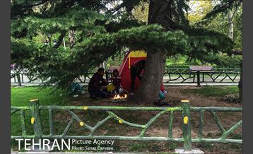 روز طبیعت بارانی در بوستان ملت 15