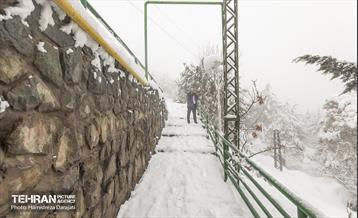 روایت مه‌و‌برف در بوستان سنگی تهران  28