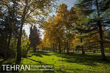 پاییز در پارک های تهران 3