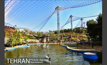 فصل بهار در بوستان های منطقه 4 2