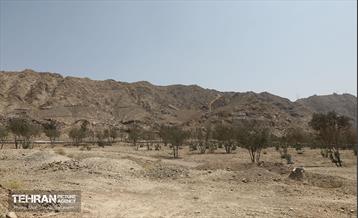 اینجا کارگاهه؛ پروژه بام ری 44