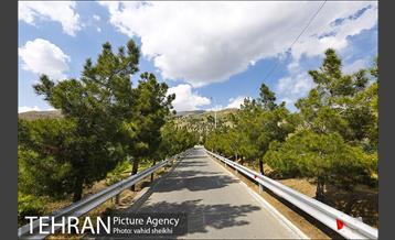 بوستان جنگلی کوهسار 19