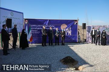 بازدید و افتتاح پروژه جنگل کاری 1000هکتاری در بوستان جنگلی تلو 26