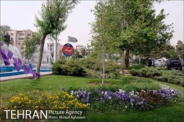 آیین رونمایی از تابلوی میدان قمر بنی هاشم (ع) 3