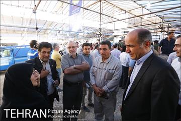عرضه بهداشتی دام در جایگاه منطقه 2 شهرداری تهران  30
