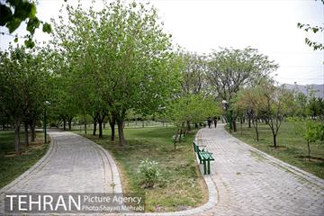 بوستان آزادگان 17