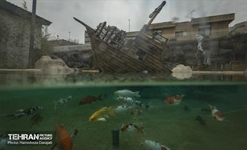 اقیانوس پارک  21