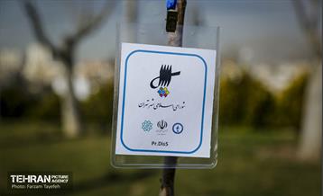 آیین درختکاری در منطقه‌5 33