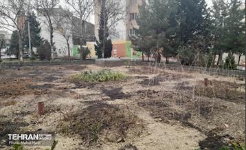 مراسم افتتاح پروژهای منطقه ۸ 1