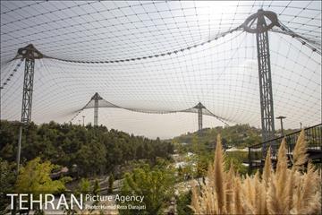 باغ پرندگان فاز دوم 7