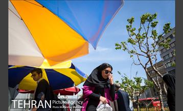 شهرنگار؛ خیابان انقلاب 24