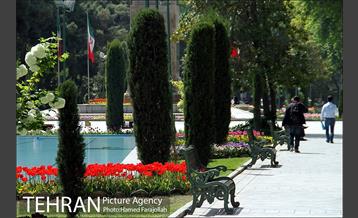 لاله های بهاری پارک شهر 11