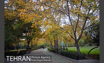 طبیعت پاییزی بوستان لاله 23