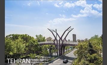 بوستان آزادگان 16