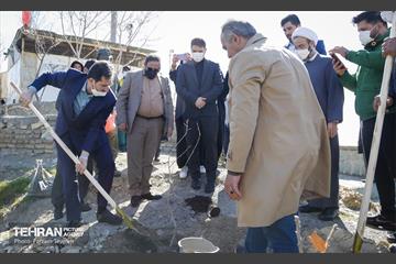 آیین غرس درخت در کوهسار  با حضور معاون فرهنگی قوه قضاییه 11
